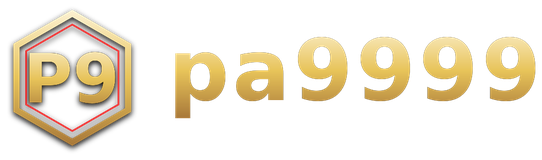 pa9999 โลโก้